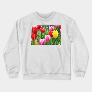 Pick A Color Crewneck Sweatshirt